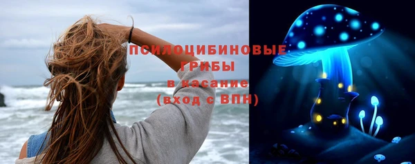 гашик Абаза