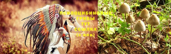 гашик Абаза